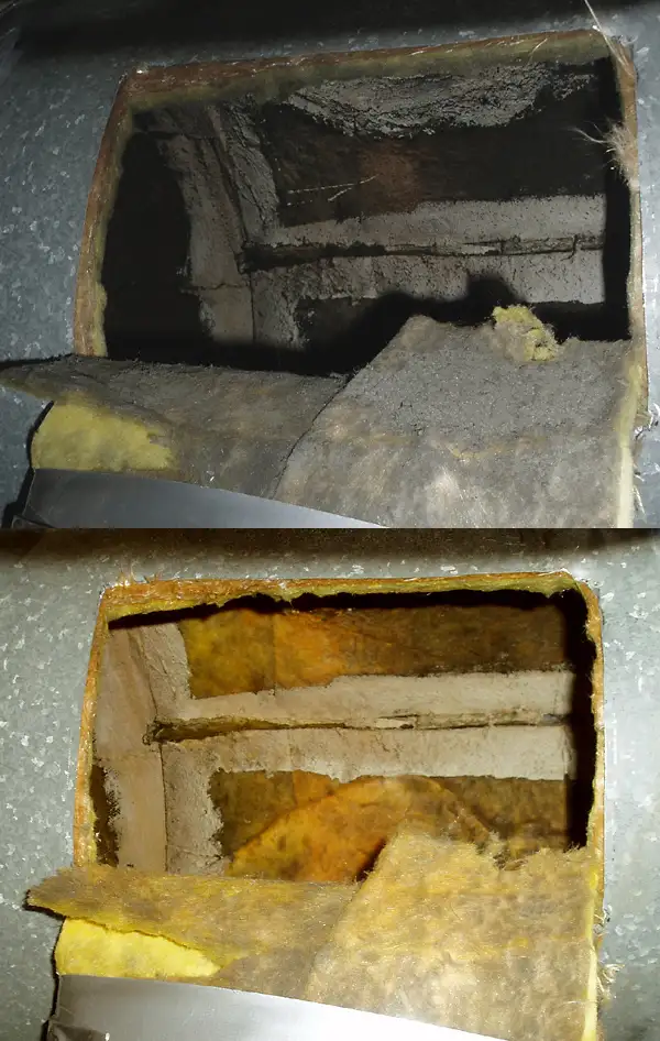 Before and after photos