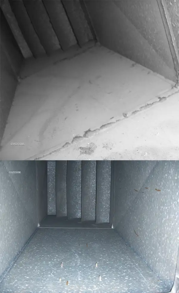 Before and after photos