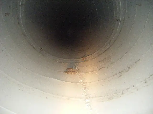 Before cleaning