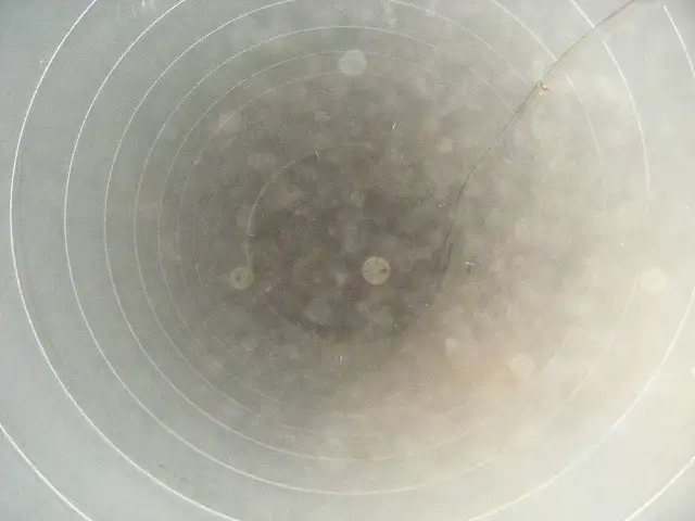 During Cleaning