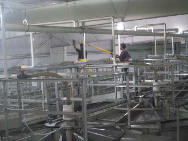 cleaning silo